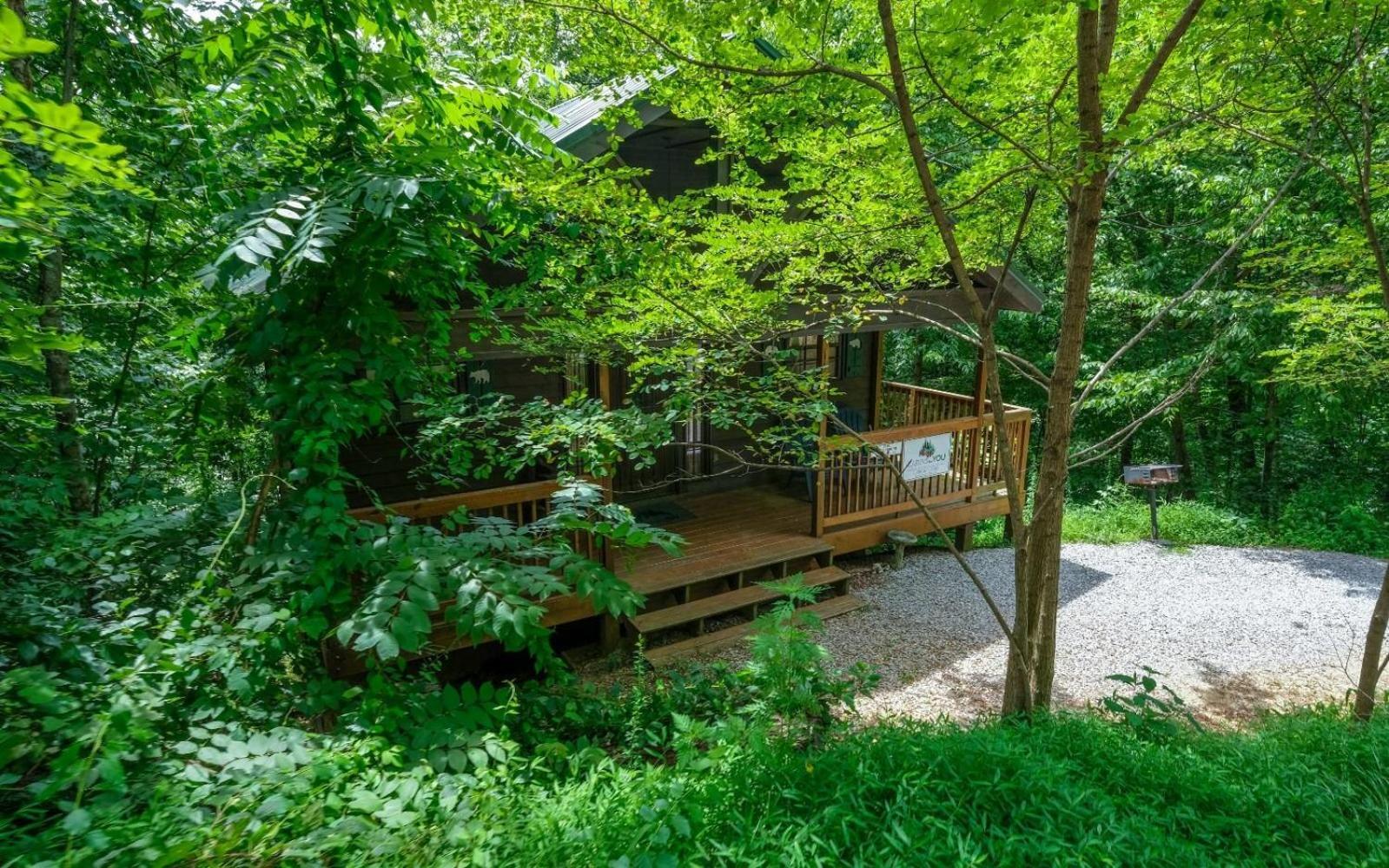 The Tree House Villa Гетлинбург Екстериор снимка
